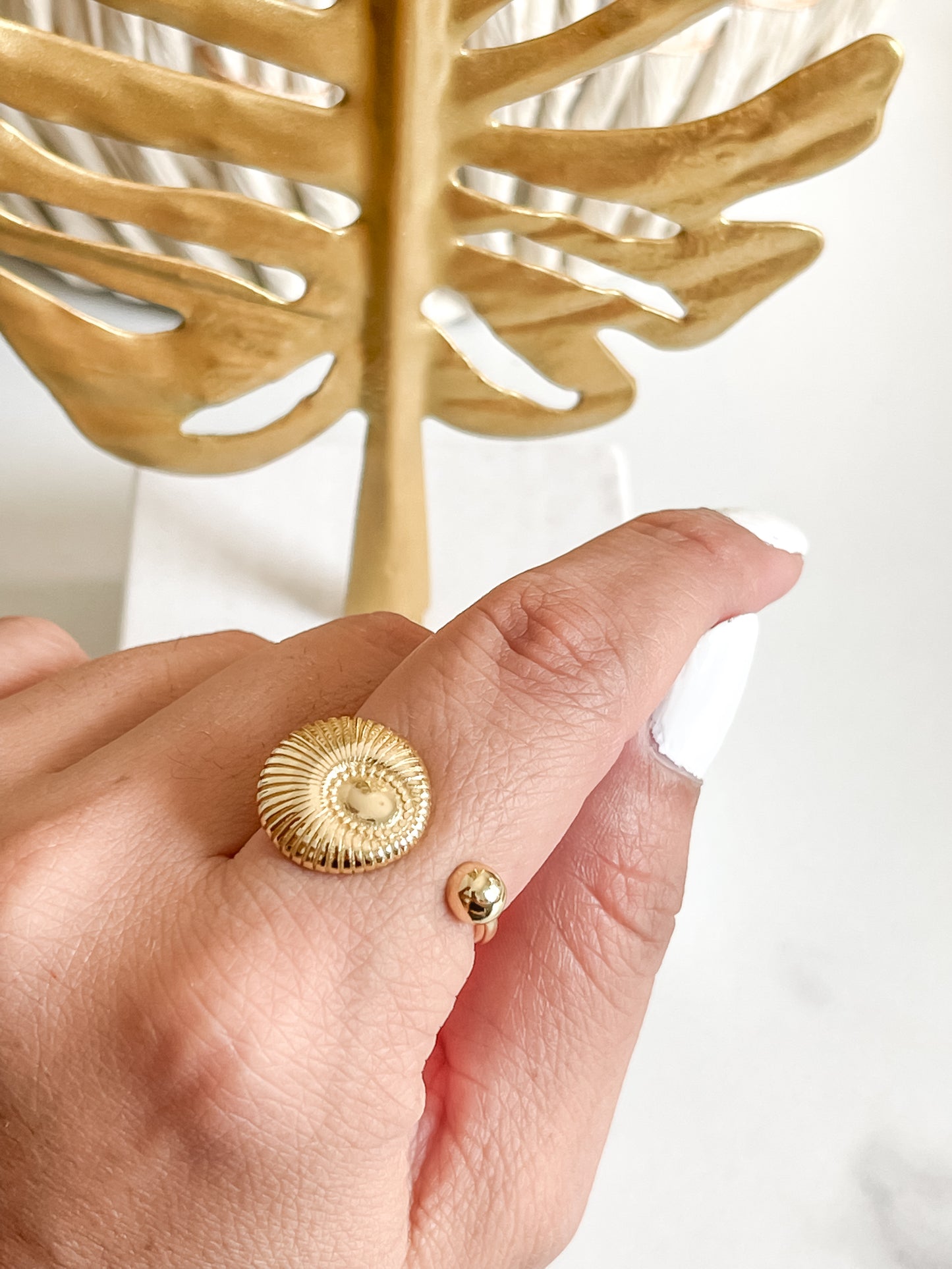 Anillo ILAN