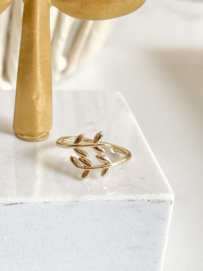 Anillo de ITZLY