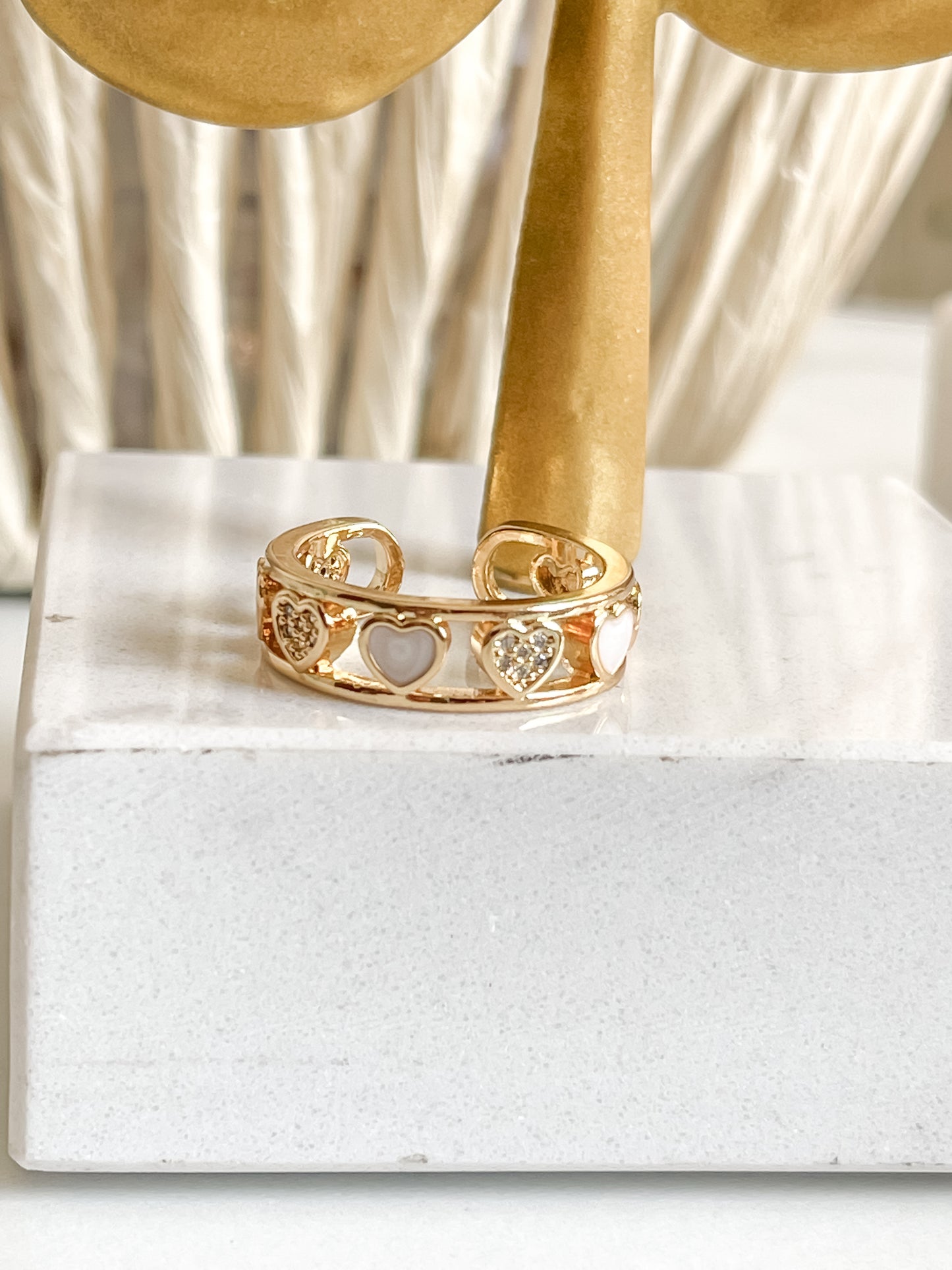 Anillo ERENDI